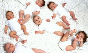 Newborn-babies-008