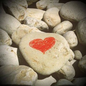 10458554_10201462327080470_8321866862477187694_n